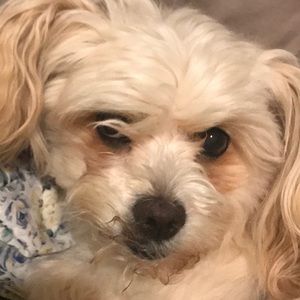 Meet your Posher, Juiie